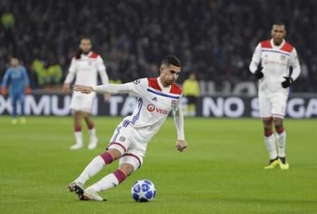 鸟资本或将 鸟资本或将